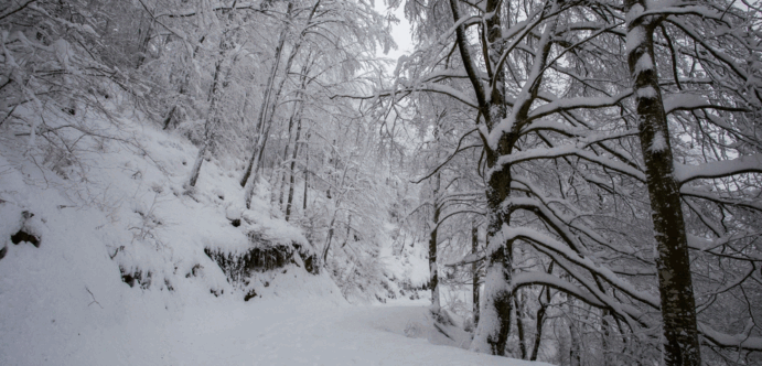 Spain braces for Arctic blast: Freezing temperatures, snow, and torrential rain to hit the country