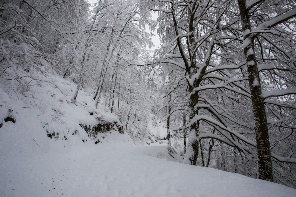 You are currently viewing Spain braces for Arctic blast: Freezing temperatures, snow, and torrential rain to hit the country