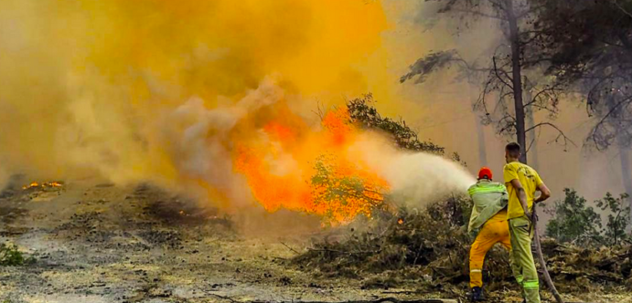 Multiple wildfires ignite in western Türkiye, hundreds evacuated from İzmir