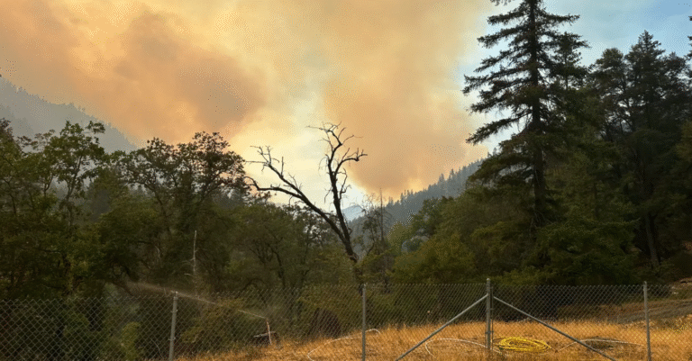 Read more about the article 3 firefighters injured as Butler Fire grows to over 5 800 ha (14 000 acres), California
