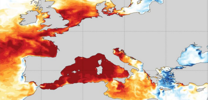 Record marine heatwave pushes Mediterranean Sea surface temperatures to 30°C (86°F) off Spain