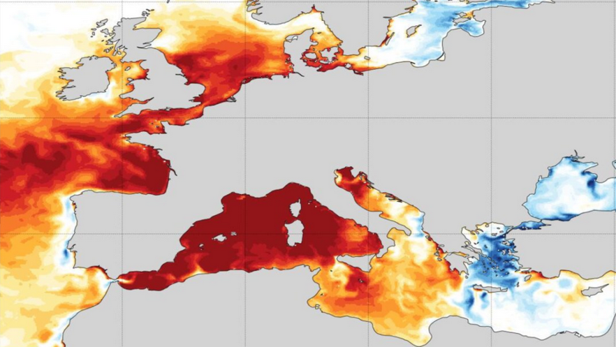 Read more about the article Record marine heatwave pushes Mediterranean Sea surface temperatures to 30°C (86°F) off Spain