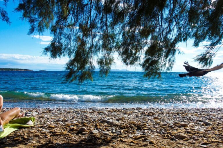 Read more about the article Αποχαιρετούμε τον καύσωνα τη νέα εβδομάδα – Πιθανή εμφάνιση έντονων καιρικών φαινομένων στο τέλος του μήνα