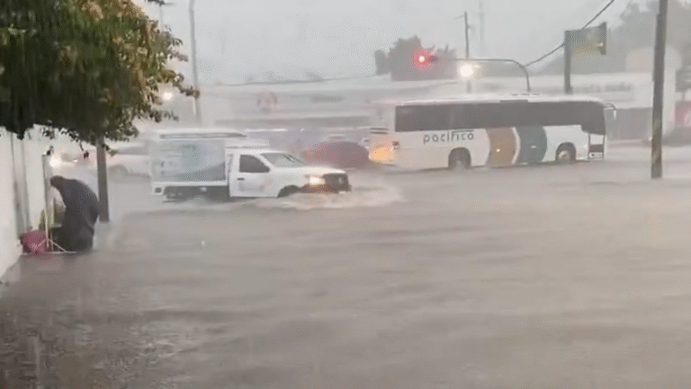 Read more about the article Tropical Storm Ivo triggers severe floods in Nayarit and Veracruz, Mexico