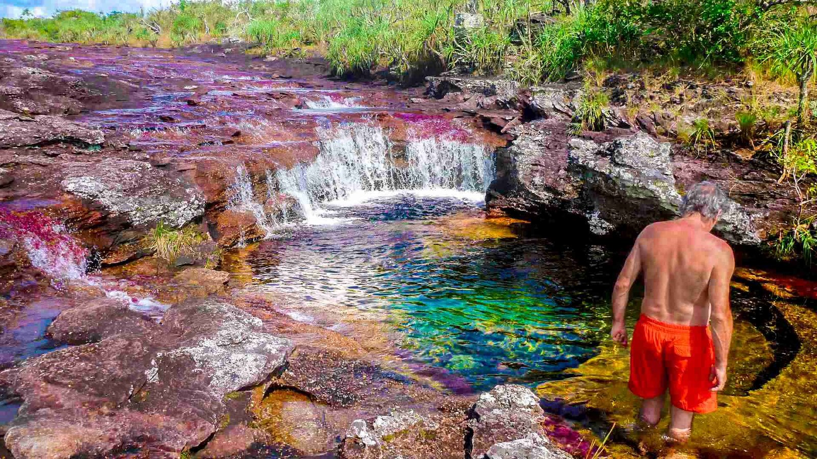 Read more about the article Cano Cristales: Το «υγρό ουράνιο τόξο» της Κολομβίας