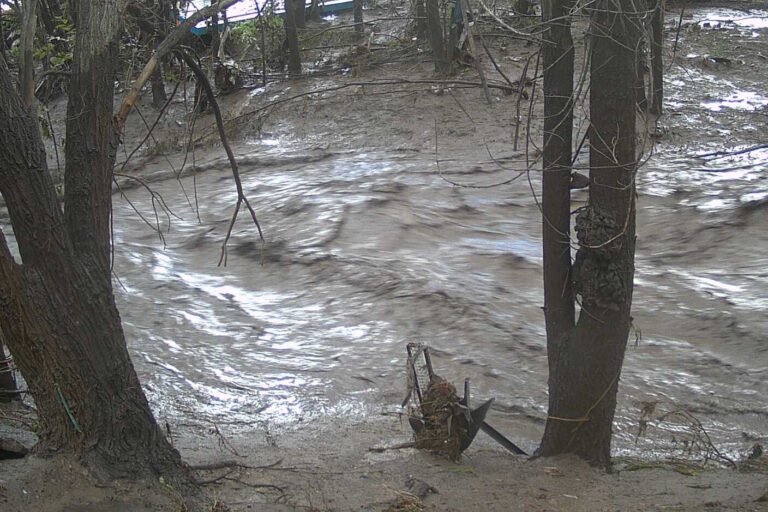 Read more about the article Flash flooding prompts multiple rescues in Ruidoso, New Mexico
