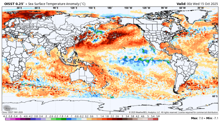 Read more about the article Το θερμότερο καλοκαίρι στην ιστορία του Βόρειου Ειρηνικού: Το μυστήριο του «θαλάσσιου καύσωνα» που ανησυχεί τους επιστήμονες