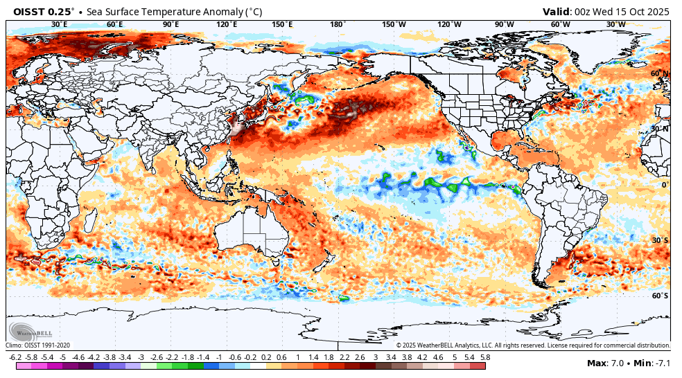 Read more about the article Το θερμότερο καλοκαίρι στην ιστορία του Βόρειου Ειρηνικού: Το μυστήριο του «θαλάσσιου καύσωνα» που ανησυχεί τους επιστήμονες