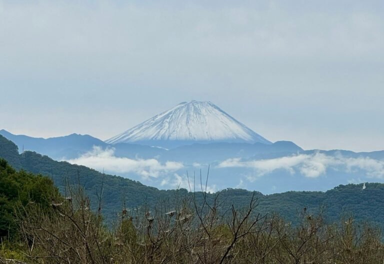 Read more about the article Καθυστέρησε φέτος το πρώτο χιόνι στο εμβληματικό όρος Φούτζι – Τι έδειξαν τα στοιχεία