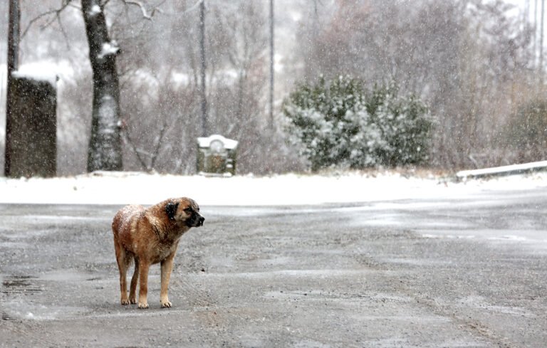 Read more about the article Καταιγίδες, σκόνη και θυελλώδεις νοτιάδες στο Αιγαίο τη Τετάρτη – Σταδιακή βαρυχειμωνιά από τη Πέμπτη