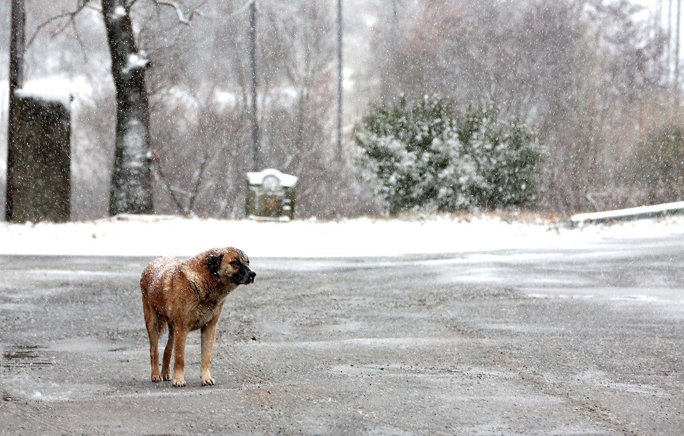 Read more about the article Καταιγίδες, σκόνη και θυελλώδεις νοτιάδες στο Αιγαίο τη Τετάρτη – Σταδιακή βαρυχειμωνιά από τη Πέμπτη