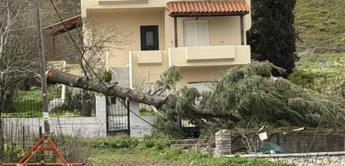 Κακοκαιρία: «Άσπρισαν» περιοχές της Κρήτης από χαλάζι νωρίς το πρωί της Τετάρτης – Πτώσεις δέντρων στο Οροπέδιο Λασιθίου