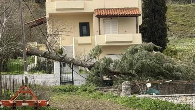 Read more about the article Κακοκαιρία: «Άσπρισαν» περιοχές της Κρήτης από χαλάζι νωρίς το πρωί της Τετάρτης – Πτώσεις δέντρων στο Οροπέδιο Λασιθίου