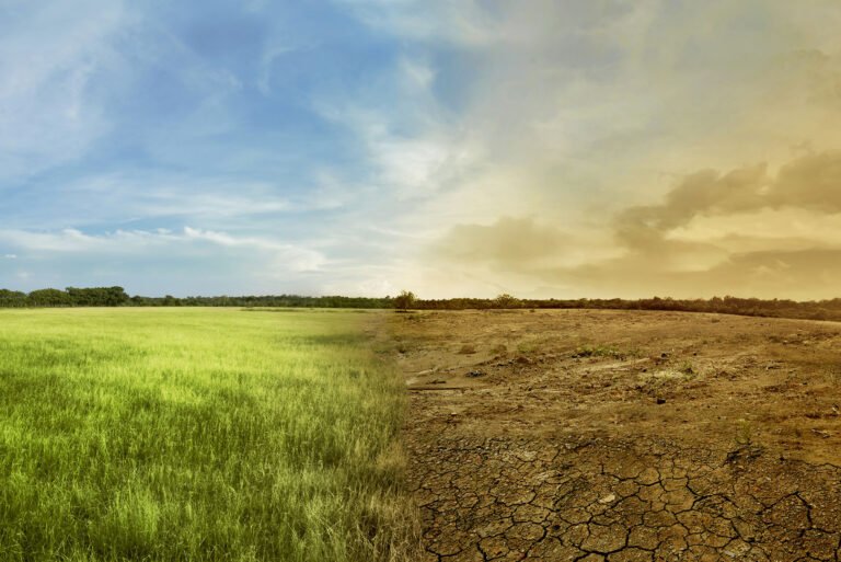 Read more about the article Ευρώπη 2025: Η πιο ταχέως θερμαινόμενη ήπειρος αντιμέτωπη με ακραία φαινόμενα