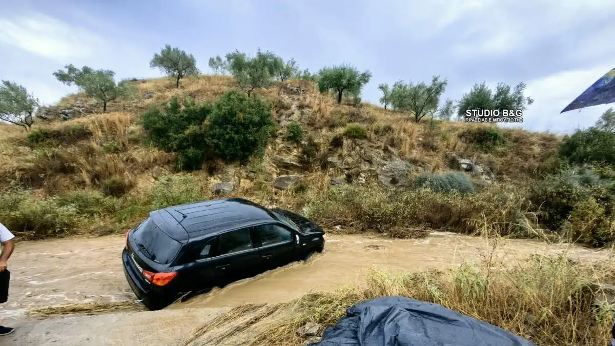 You are currently viewing Η κακοκαιρία πέρασε και άφησε πίσω τις προβλήματα – Πτώσεις δέντρων και πλημμυρικά φαινόμενα