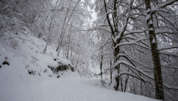 Spain braces for Arctic blast: Freezing temperatures, snow, and torrential rain to hit the country