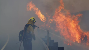 Wolf Fire burns over 470 ha (1 160 acres), forces evacuations in Riverside County, California
