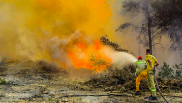 Multiple wildfires ignite in western Türkiye, hundreds evacuated from İzmir