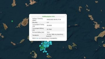 Άκης Τσελέντης για Σαντορίνη: Σε σύντομο χρονικό διάστημα έρχεται ένας μεγαλύτερος σεισμός – Προσεισμική ακολουθία αυτή των τελευταίων ημερών