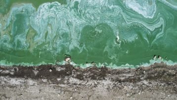Ανησυχητικές εικόνες από τη λίμνη Τέρκος, βασική πηγή πόσιμου νερού της Κωνσταντινούπολης – Έγινε ξαφνικά πράσινη με αφρούς